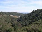 El Madronal