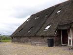 Woning