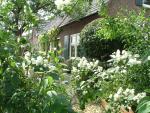 Woning