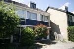 couwenhoven 4216