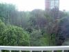 Woning